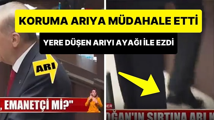 Cumhurbaşkanı Erdoğan'ın Sırtına Konan Arıya Müdahale Eden Koruma, Yere Düşen Arıyı Ayağı ile Ezdi