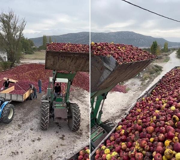 Paylaşılan görüntülerde, topraktan toplandıktan sonra meyve suyu olması için fabrikalara yollanan elmaların çürük ve kötü görüntüsü dikkat çekiyor.