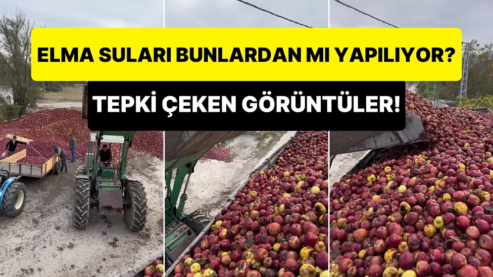 Çocuklarımız Bunları mı İçiyor? Elma Suyu Üretimi Toplanan Elmaların Görüntüsü Tepki Çekti