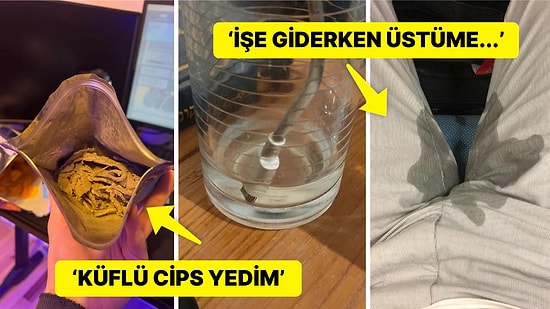 Çöle Düşse Kutup Ayılarıyla Karşılaşıp Birtakım Tatsız Olaylar Yaşayabilecek 15 Bahtsız Kişi