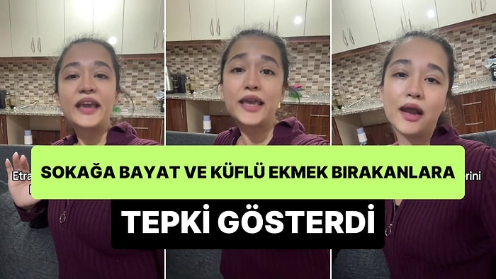 Bayat ve Küflü Ekmekleri Sokak Hayvanlarına Bırakanlara Tepki Gösteren Hayvansever: Etrafı Çöpe Çeviriyorsunuz