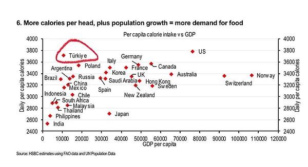 Ünlü İngiliz bankası HSBC'nin raporuna göre, günlük kişi başı kalori tüketiminde de Türkiye, ABD’den sonra en yüksek 2. ülke olarak görünüyor.