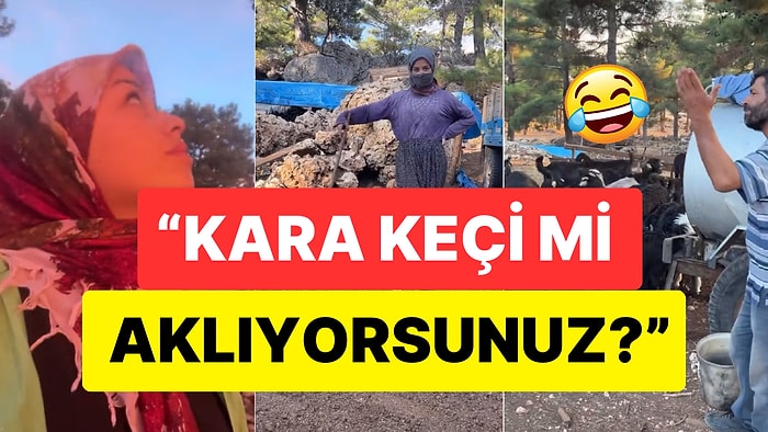 Gezen Oğlak, Ofis Videolarıyla Gündemden Düşmeyen Influencerları Fena Tiye Aldı