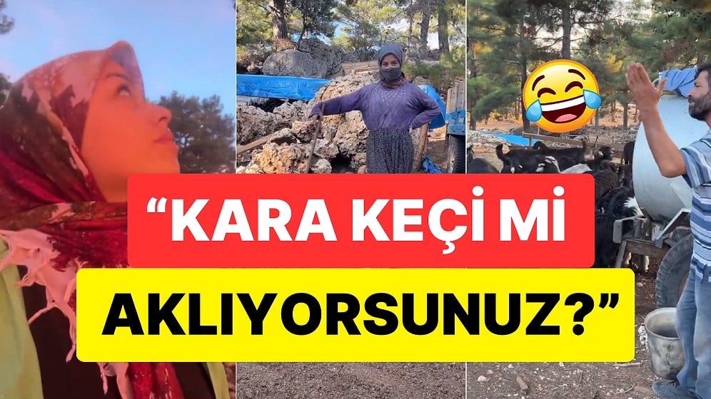 Gezen Oğlak, Ofis Videolarıyla Gündemden Düşmeyen Influencerları Fena Tiye Aldı