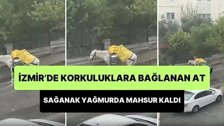 İzmir'de Korkuluklara Bağlanan At, Sağanak Yağmur Başlayınca Mahsur Kaldı