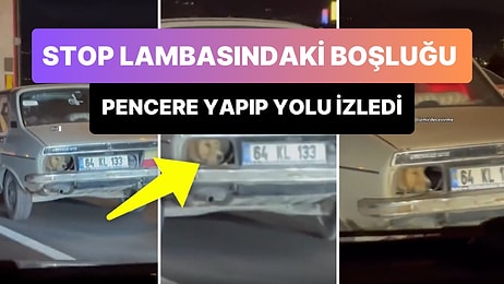 Hareket Halindeki Arabanın Stop Lambası Kısmından Yolu İzleyen Köpeğin Gündem Olan Görüntüleri