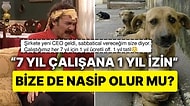 Şirketinin Her 7 Yılda 1 Yıl Ücretli İzin Verdiğini Açıklayan Çalışan, Türk Çalışanları Resmen Dumur Etti!