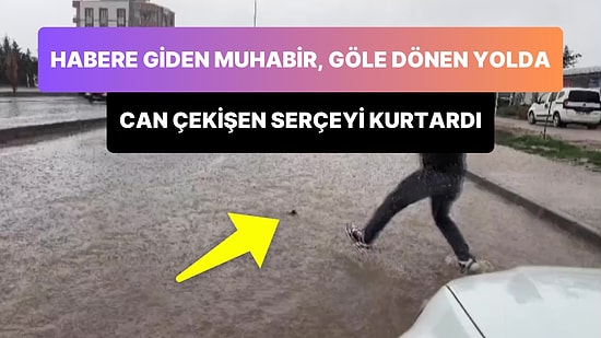 İHA Muhabiri Haber İçin Gittiği Bölgede Sel Sularında Can Çekişen Serçeyi Kurtardı