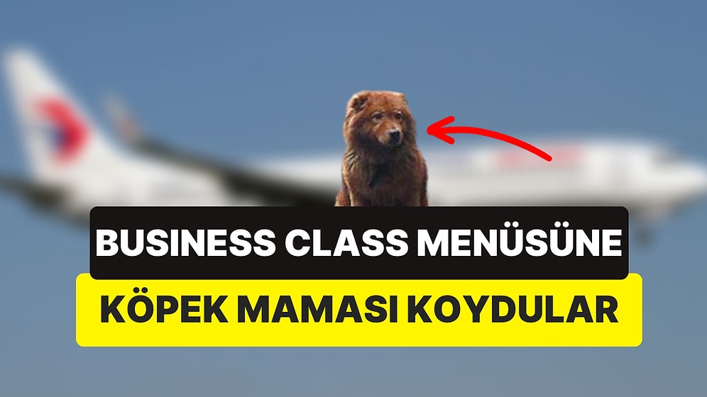 Havayolu Şirketinin Business Class Yolcularına Köpek Maması Yazan Menü Vermesi Görenleri Şaşkına Çevirdi