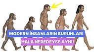 İlk İnsanların Bilimi: Homo Sapiens ve Neanderthals Arasındaki Fark Nedir?