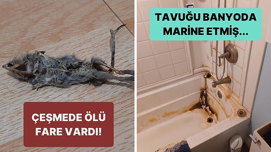 İnsanların Yaşadıkları Talihsiz Olaylar Başkasının Evinde Yemek Yemeden Bir Kez Daha Düşünmenize Sebep Olacak