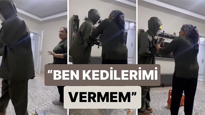 "Kedilerini Şikayet Etmişler, Almaya Geldiler" Şakası Karşısında Panik Olan Annenin Kalpleri Eriten Savunması