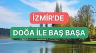 İzmir’de Ruhunuza İyi Gelecek Doğa ile Baş Başa Kalacağınız Yerler Rehberi