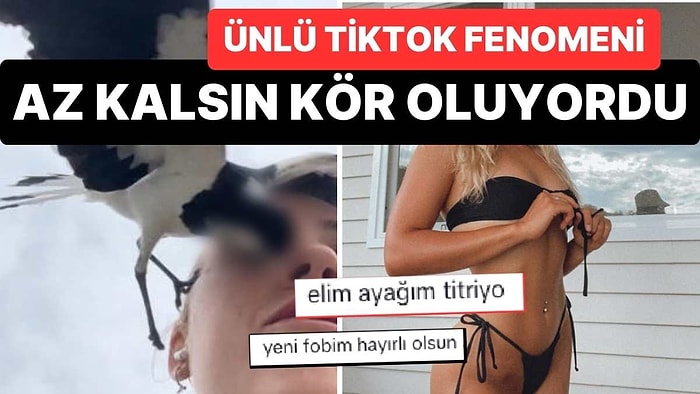 Ünlü TikTok Fenomenine Kuş Saldırdı: Az Kalsın Gözünü Kaybediyordu!