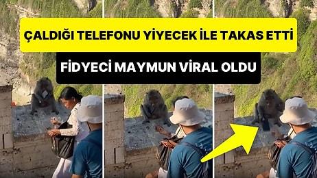 Fidye Karşılığı Telefonu Geri Verdi: Turistten Çaldığı Telefonu Yiyecek ile Takas Eden Maymun