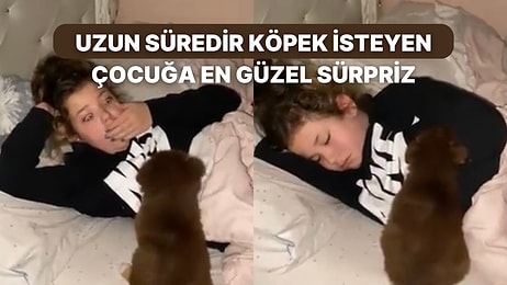 Uzun Süredir Bir Köpeği Olmasını Dileyen Küçük Kıza Uykusunda En Güzel Sürprizi Yapan Ailesi