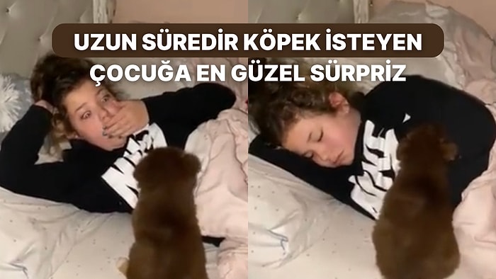 Uzun Süredir Bir Köpeği Olmasını Dileyen Küçük Kıza Uykusunda En Güzel Sürprizi Yapan Ailesi