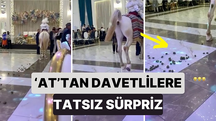 Sünnet Çocuğunun Salona Atla Geldiği Düğünde At Davetlilere Tatsız Bir Sürpriz Yaptı