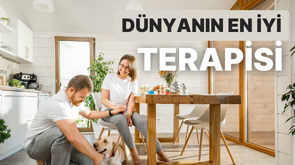 Partnerinizle Evcil Hayvan Beslemenin İlişkinize Sağlayacağı 10 Tatlış Durum