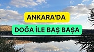 Ankara’da Şehrin Kalabalığından Kaçıp Doğa İle Baş Başa Olacağınız Yerler