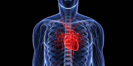 9 Tips For A Healthy Heart from The World's Longest-Living People