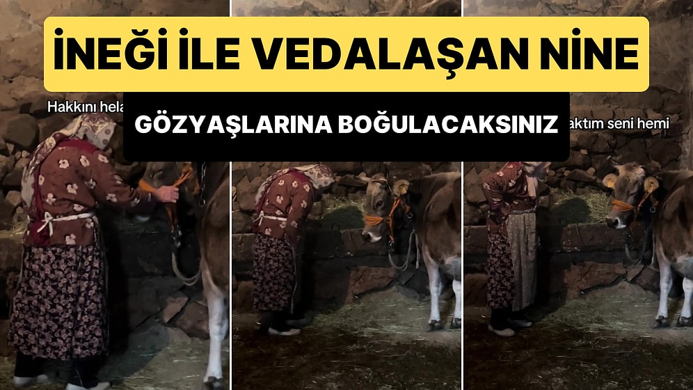 İneği ile Vedalaşırken Helallik İsteyip Eski Günleri Yad Eden Ninenin İzlerken Gözyaşlarına Boğacak Anları