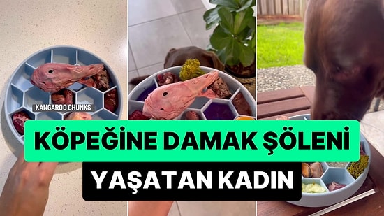 Hazırladığı Menü ile Köpeğine Damak Şöleni Yaşatan Kadın, İzleyenlere 'Bizden Daha İyi Besleniyor' Dedirtti