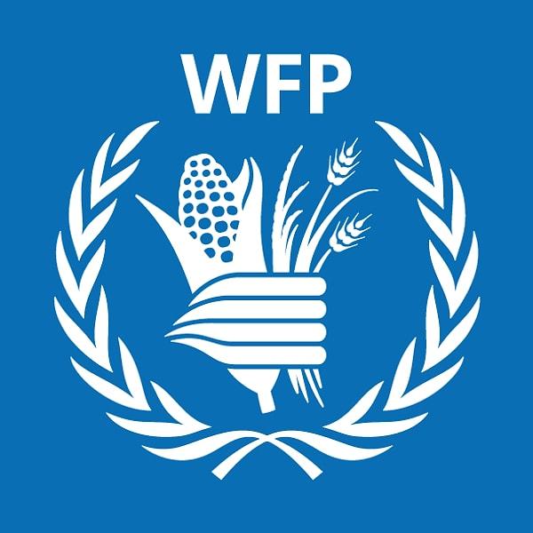 Tesfaye'nin iyilik elçisi olduğu WFP'nin şimdiye kadar 764 bin Filistinliye gıda yardımı sağladı ve çatışmalara ara verildiğinde yardımları artırdı. FP Bölge Direktörü Corinne Fleischer, Gazze'deki insani krizin beklenenden daha büyük olduğunu ve yardımların ciddi şekilde artması gerektiğini ifade etti.