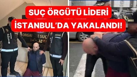 Mavi Bültenle Aranan Organize Suç Örgütü Lideri İstanbul'da Yakalandı!