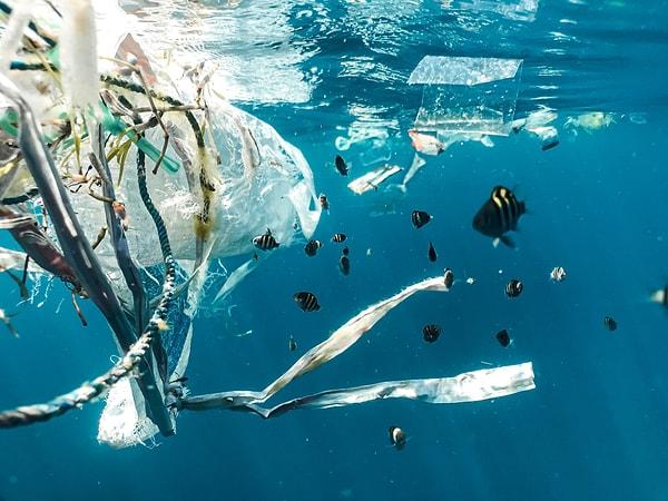 11. "Tek kullanımlık plastik ürünler bu dünya için büyük bir problem. Bu plastikler önemli yerlerde kullanılmalı, her yerde değil."