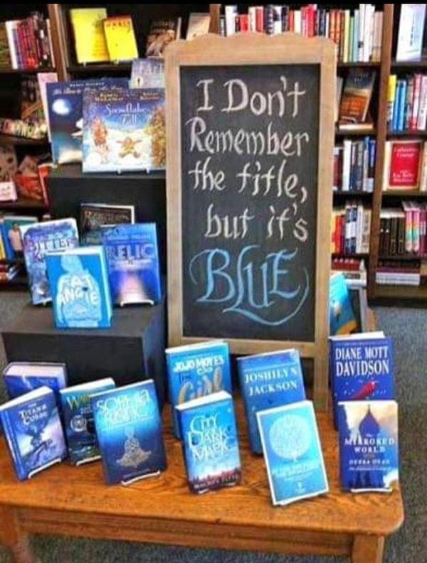 4. "Kitabın ismini hatırlamıyorum ama maviydi."