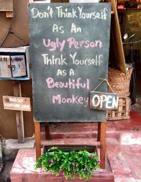 7. "Kendinizi çirkin birisi olarak görmektense güzel bir maymun olarak görmeye çalışın :)"