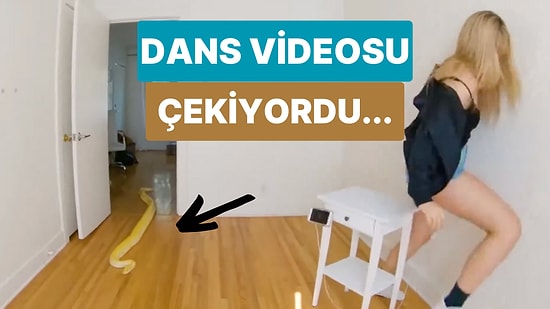 Bir Genç Kız Kendi Halinde Dans Videosu Çekerken Bir Anda Odaya Giren Dev Yılanı Görünce Ne Yapacağını Şaşırdı