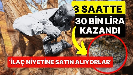 Ağaç Kovuğundan Çıkardı, 3 Saatte 30 Bin Lira Kazandı! 'İlaç Niyetine Satın Alıyorlar'