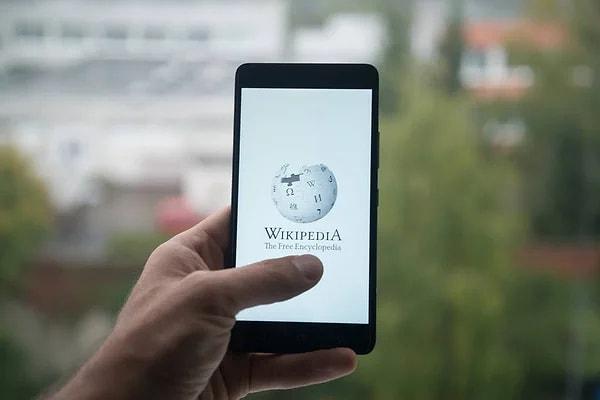 Wikipedia'nın bu yıl görsel bir yenilik geçirmesi ve toplamda 84 milyar sayfa görüntülemesi elde etmesi de önemli bir gelişme olarak kaydedildi.