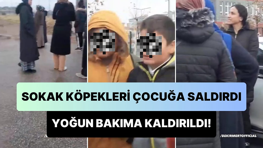 Keçiören'de Sokak Köpekleri Bir Çocuğa Saldırdı: Yoğun Bakıma Kaldırılan 10 Yaşındaki Çocuğun Durumu Kritik