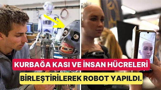 İnsan Hücrelerinden Yapılan Robotlar: Kendi Başlarına Hareket Ediyor ve Yaraları İyileştirebiliyorlar