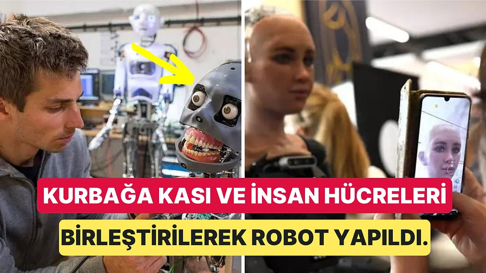 İnsan Hücrelerinden Yapılan Robotlar: Kendi Başlarına Hareket Ediyor ve Yaraları İyileştirebiliyorlar