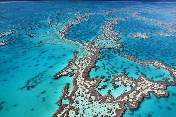 10. "Great Barrier Reef" olarak bilinen dünyanın en büyük mercan resifi nerede yer almaktadır?