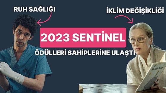 The Diplomat, Grey's Anatomy, Station 19: Sentinel Ödülleri Kazanan Dizi ve Filmler Belli Oldu!