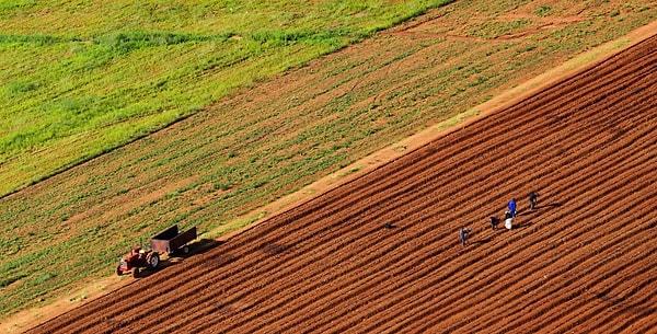 10 yıl içinde Türkiye kendi verimli toprakları ve çiftçiye destekleri artırmak yerine Sudan, Nijer, Venezuela’da tarımsal üretim yapmak için hareket geçmişti. Türkiye bu projelerde başarılı olamadı.