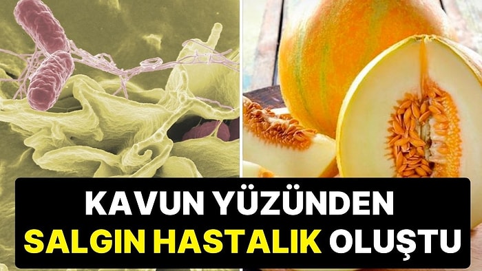 Bozulmuş Kavundan Kaynaklı Salmonella Salgını Oluştu: 8 Kişi Hayatını Kaybetti, Yüzlerce Kişi Hastanede