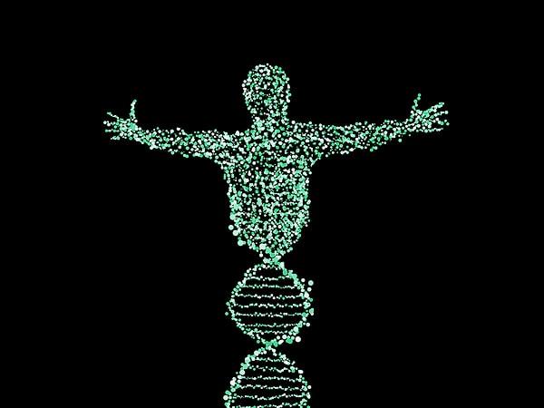 The Biological Blueprint: Decoding the Genetics of Longevity