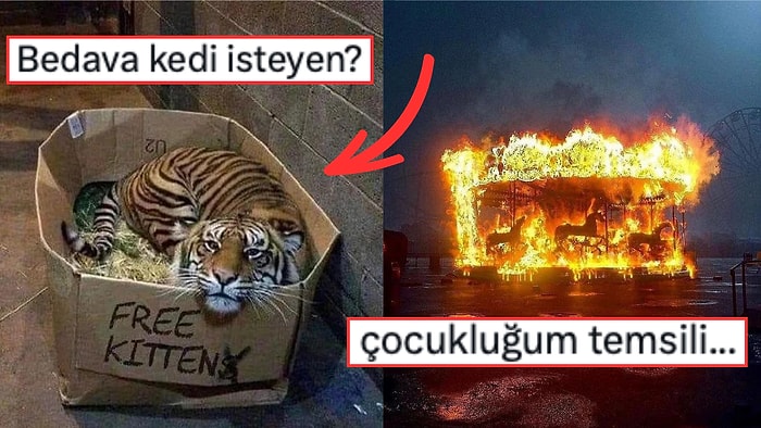 Fotoğraf Çekmek İsterken Yanlışlıkla Rönesans Tablosu Yaratan Kişilerden Muazzam Kareler