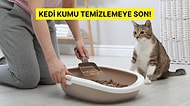 Kum Temizlemeye Son! En Çok Tercih Edilen Otomatik Kedi Tuvaleti Tavsiyeleri