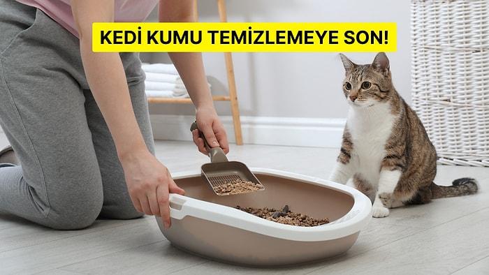 Kum Temizlemeye Son! En Çok Tercih Edilen Otomatik Kedi Tuvaleti Tavsiyeleri