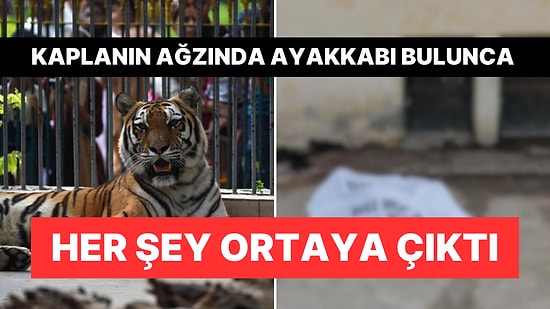 Pakistan'da Hayvanat Bahçesinde Kaplanlar Ziyaretçiyi Yedi