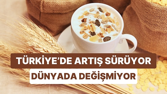Türkiye'de Artan Gıda Fiyatları Dünyada Değişmedi