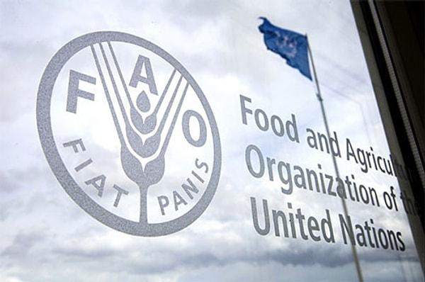 BM Gıda ve Tarım Örgütü FAO'nun verilerine göre, et fiyatları endeksi yüzde 8,1 oldu.