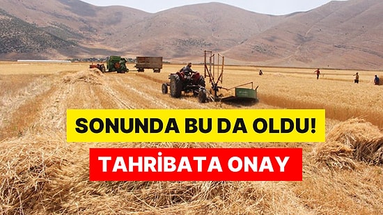 Bu da Oldu: Tarım Arazisinde Patlamalı Altın Aramaya Onay Verildi